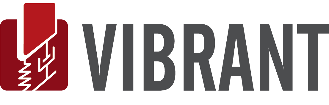 Vibrant Primary Logo